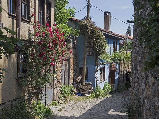 İnkaya Çınarı & çevresi
