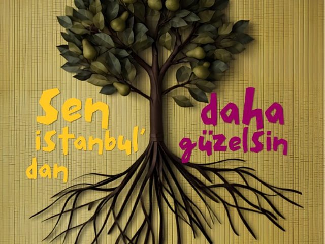 Sen İstanbul'dan Daha Güzelsin