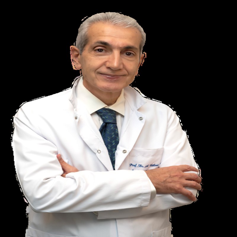 Prof. Dr. ERKAN ÖZCAN