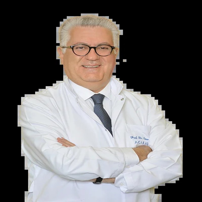 Prof. Dr. LEVENT ERİŞEN K
