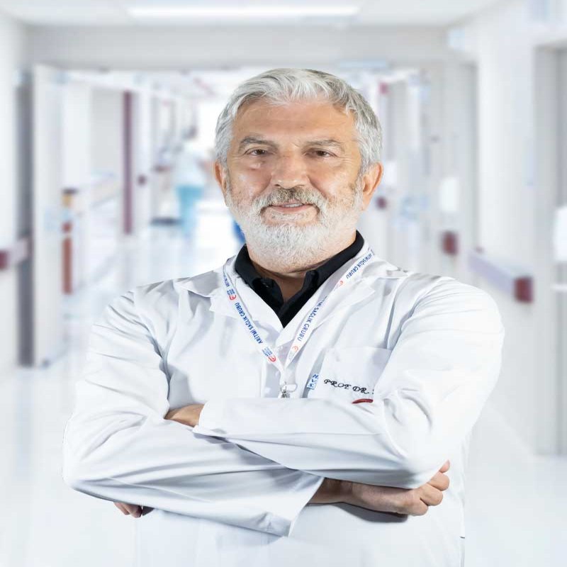 Prof. Dr. Mehmet Halit ANDAÇ
