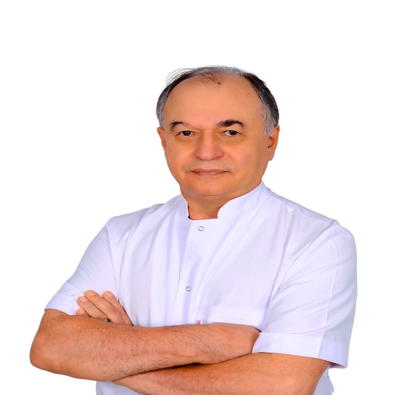 Prof. Dr. Haluk Ertürk